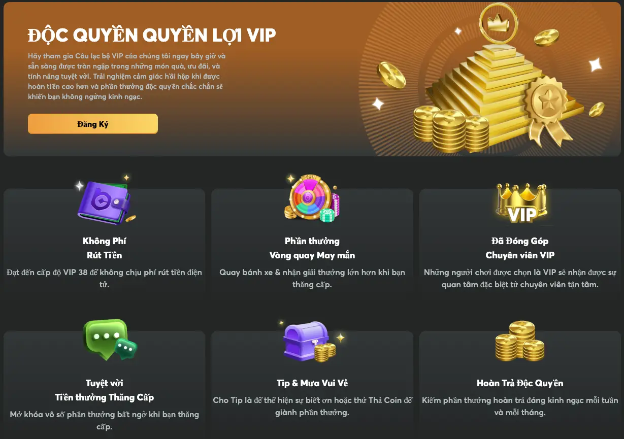 VIP & Hệ thống nâng cấp thành viên